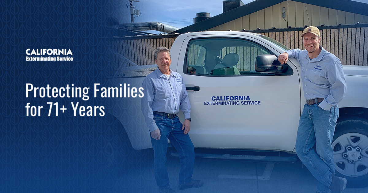 Lafayette Pest Control California Exterminating Service