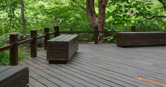 Wooden Deck with Benches in a Lush Forest Setting