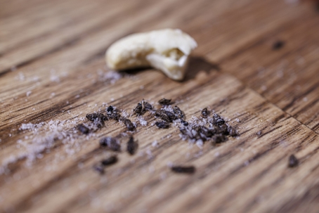 Signs of mice at home: the floor near the food is covered in rodent droppings